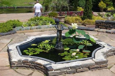 SARAH P. DUKE GARDENS, Durham, NC: The Tranquility of Nature on a Summer's Day