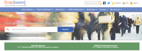 Top 15+ Websites To Buy Expired Domains With DA/PA (2022) Buy Aged Domain Names