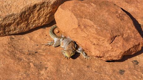 Tower Arch is One of Arches NP’s Least Visited Trails