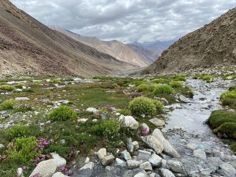 Leh Ladakh Trip Cost for 7 days: Our Tour Package for 6 people