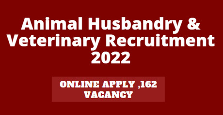 Animal Husbandry & Veterinary Recruitment