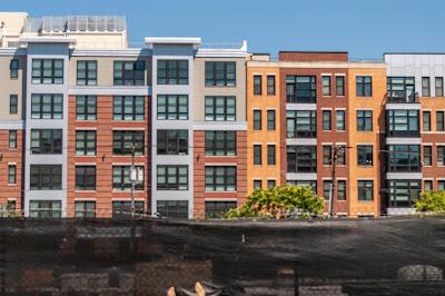 From yesterday's walk