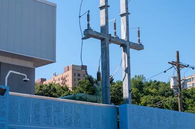 From yesterday's walk