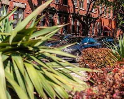 From yesterday's walk