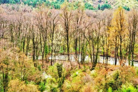 Climate of Dachigam National Park