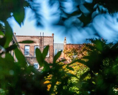 More from Saturday's walk