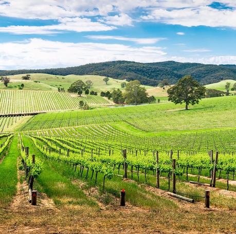 Things to do in Australia - Barossa Valley