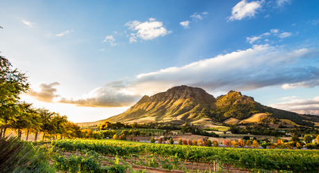 A Guide To The World’s Best Wine Destinations