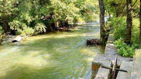 Dachigam National Park Kashmir