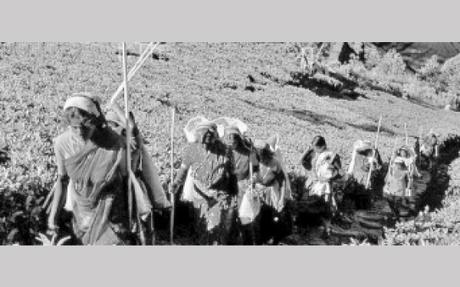 Untitled 7 2 - FrontPage