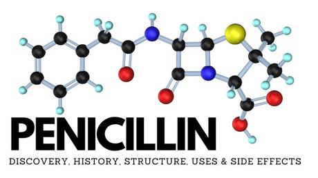All About Penicillin (Part 1) – Discovery, History, Structure, Uses & Negative Effects. All About Penicillin (Part 1) – Discovery, History, Structure, Uses & Negative Effects.