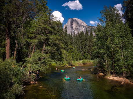 Camping in Yosemite National Park with Children [How to Be Safe & Have Fun]