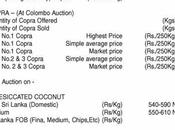 Coconut Products Prices 28.07.2022)