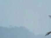 Showery, Windy Conditions Likely Enhance