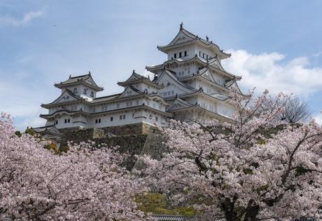 This is a comprehensive guide to Japan that will provide you with everything you need to know before your next trip.