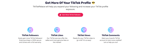 Tiktok Palace Review 2022 : Is it the Best Tool To Boost Your TikTok Presence ?