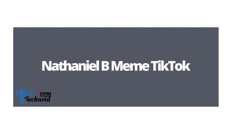 Nathaniel B Meme TikTok