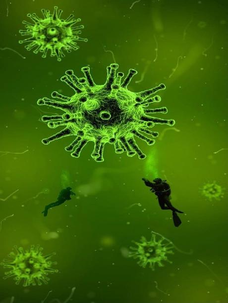 Powassan virus (POWV): Causes, symptoms, prevention and treatments