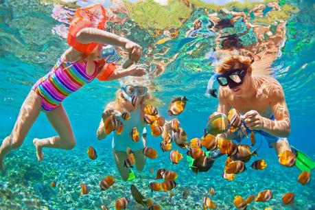 snorkelling - Things to do in Andaman