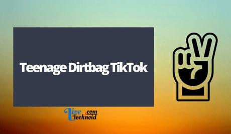 Teenage Dirtbag TikTok