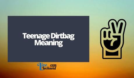 Teenage Dirtbag Meaning
