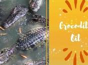Medicinal Benefits Crocodile