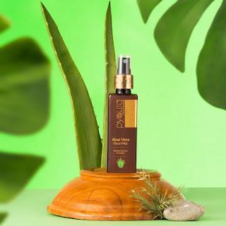 pyoura Aloe vera Face Mist The quick n easy way to add Aloe vera to your skincare routine