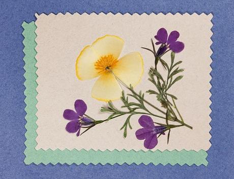 Handmade-Real-Pressed-Flowers-Card-Ideas-for-wrapping-gift-cards