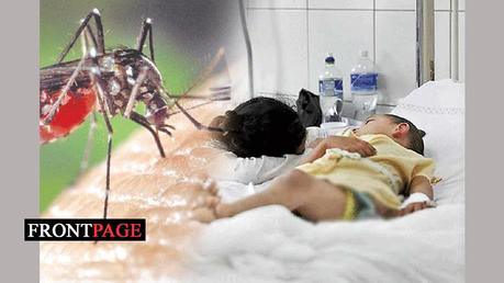 Alert for  dengue, rat fever