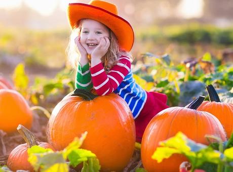 pumpkin Puns Captions