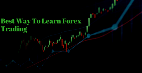 The Best Way to Learn Forex Trading 2022: The Ultimate Guide