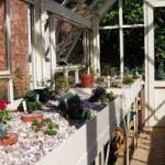 5 Essential Greenhouse Accessories