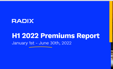 Radix H1 2022 Premium Domain Report