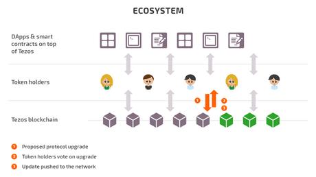 How does Tezos work