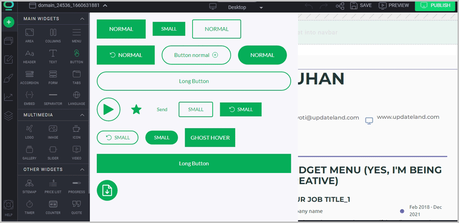 BOWWE Review: Is It The Best Website Builder? BOWWE button styles