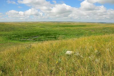 Ecology of Dakota Landscapes, a book review