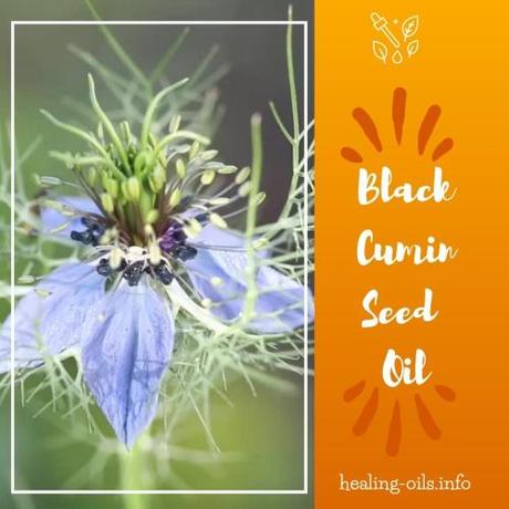 Benefits of Black Seed Oil