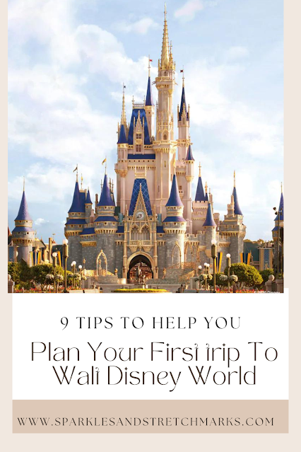 9 Tips  For Planning A Walt Disney World Holiday