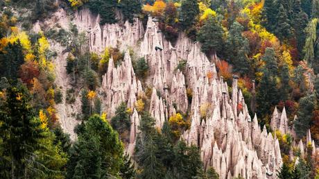 The significance of the Ecological pyramids in Ecosystems