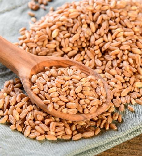 7 Farro Substitutes That Will Fit Into Any Recipe