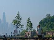 Trees, Man, Pier, Skyline