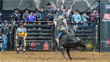 Bull Riders reveal NFT trading card game