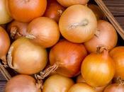 Spanish Onion Substitutes Similar Effect Your Dish