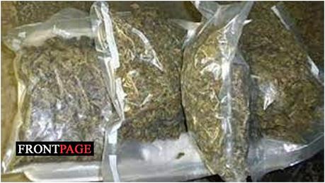 Navy seizes over Rs.27 Mn worth Kerala cannabis
