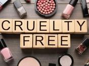 Best Cruelty-Free Makeup Brands Update 2022