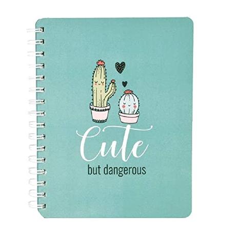 Doodle Cuteness Overload Hard bound Spiral Notebook Diary