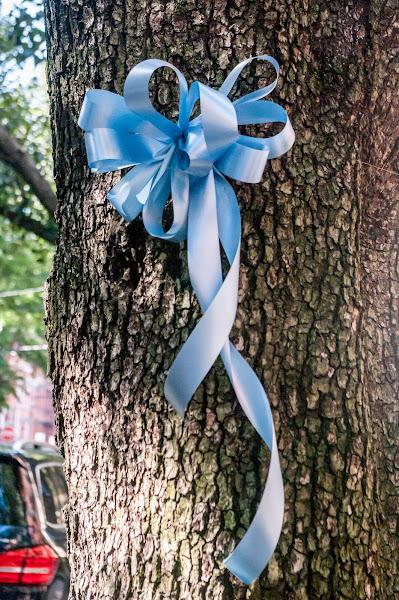 Orange flower, light blue ribbon