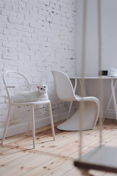 On Sunday: Yesterday During And After Work On Sunday: Yesterday During And After Work