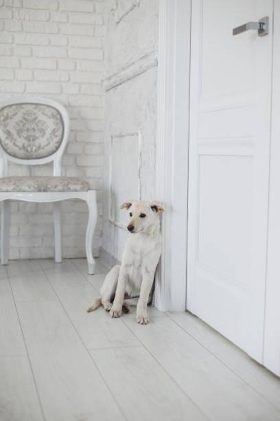 Working It Working It