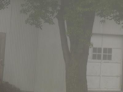 On a Misty Morning
